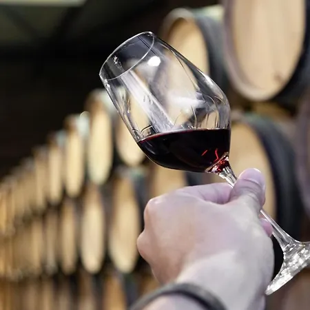 Διαμέρισμα Casa Azul At Jardim Do Morro By Bnbird Βίλα Νόβα ντε Γκάια